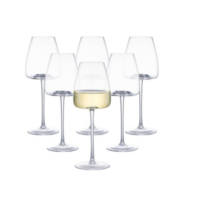 White Wine Glasses Set of 6, 15oz Crystal Wine Glasses for Red, White Wine, Long Stem Crystal Glasses with Unique Bottom Design, 440ml